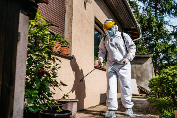 Best Best Pest Control Companies  in Interlaken, CA
