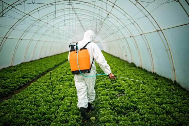 Best Pest Control Near Me  in Interlaken, CA