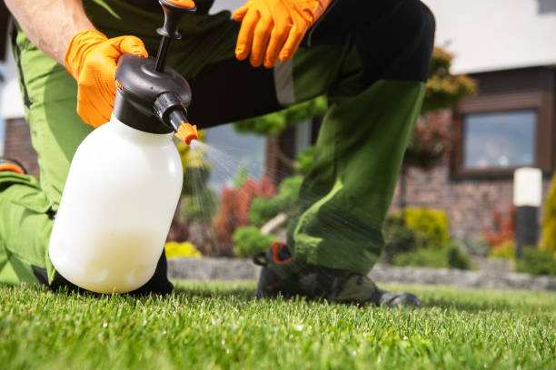 Trusted Interlaken, CA Pest Control Experts