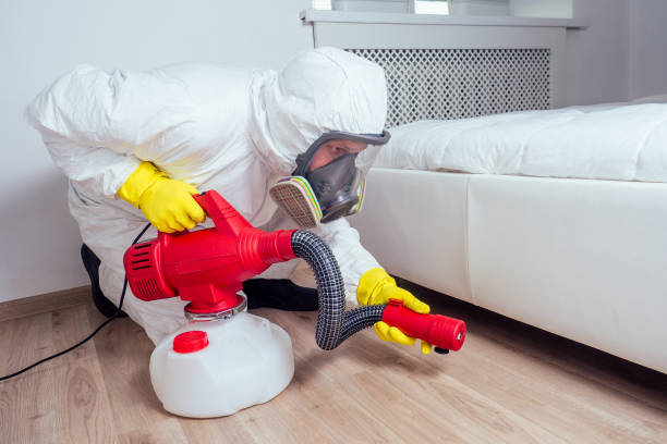 Pest Prevention Services in Interlaken, CA