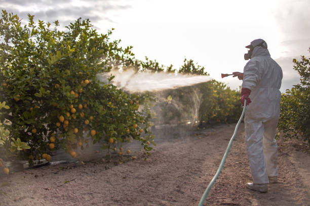 Best Pest Inspection Near Me  in Interlaken, CA