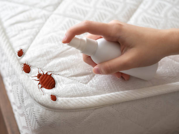 Best Pest Prevention Services  in Interlaken, CA