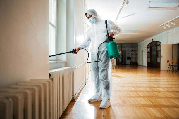 Best Emergency Pest Control  in Interlaken, CA