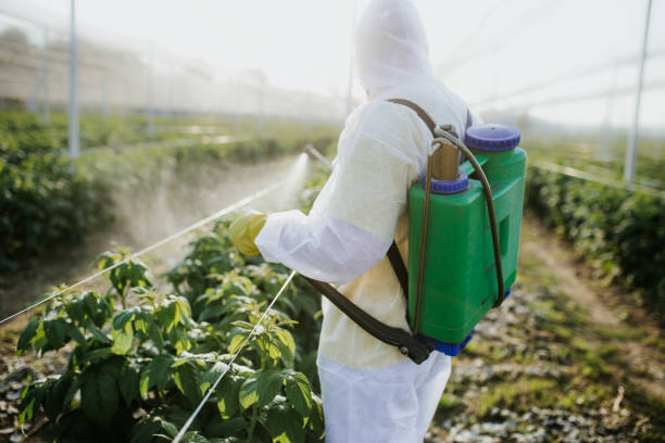 Best Mosquito Control Services  in Interlaken, CA
